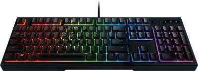 Клавиатура Razer Ornata Chroma