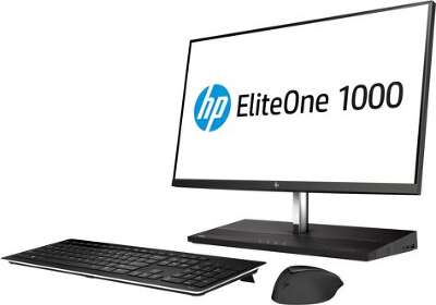 Моноблок HP EliteOne 1000 G2 AiO 23.8" FHD i5 8500/16/256 SSD/WF/BT/Cam/Kb+Mouse/W10Pro,черный (4PD51EA)