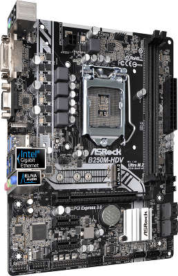 Мат. плата Asrock B250M-HDV