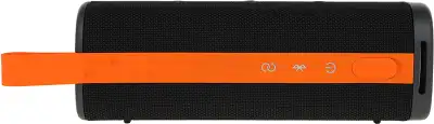 Акустическая система S29D Xiaomi Sound Outdoor 30W Black, 30W (QBH4261GL)