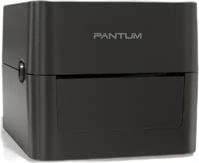 Термопринтер Pantum PT-D160N 203dpi 152мм/с/USB/Eth для печ.накл. черный