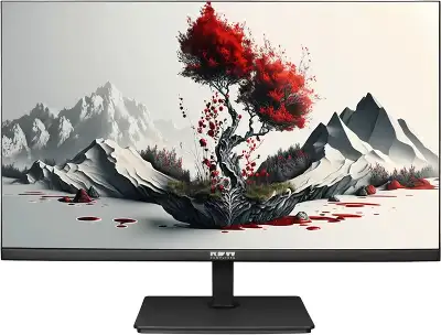 Монитор RDW Computers 23.8" RDW2401K черный IPS 4ms 16:9 HDMI M/M матовая HAS Piv 1000:1 300cd 178гр/178гр 1920x1080 100Hz VGA DP FHD 1.7кг (RUS)