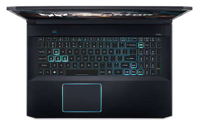 Ноутбук Acer Predator Helios 300 PH317-54-70TX 17.3" FHD i7-10750H/16/1Tb SSD/GF RTX 2070 8G/WF/BT/Cam/DOS