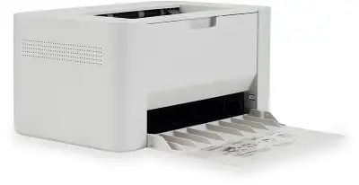 Принтер Digma DHP-2401