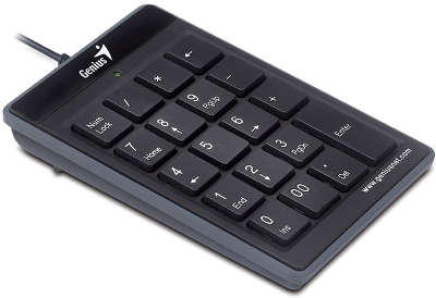 Цифровая клавиатура для ноутбука Genius NumPad i110, USB, black