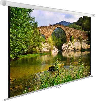 Экран Cactus 165x220см WallExpert CS-PSWE-220x165-WT 4:3 настенно-потолочный рулонный белый