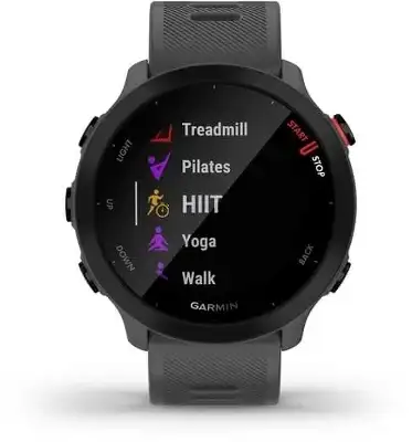 Смарт-часы Garmin Forerunner 55 42мм 1.04" LCD корп.серый рем.серый разм.брасл.:127-220мм (010-02562-13)