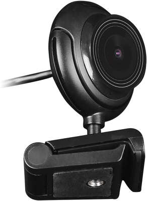 Камера Web A4Tech PK-710P черный 1Mpix (1280x720) USB2.0 с микрофоном