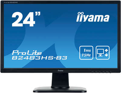 Монитор Iiyama 24" ProLite B2483HS-B3 черный VA
