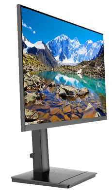 Монитор 23.8'' Fplus MO-24F129-HD 16:9 1920х1080(FHD) IPS, 75 Hz, 350cd/m2, H178°/V178°, 1000:1, 10M:1, 16.7M, 5ms, VGA, HDMI, DP, USB-Hub, Pivot, Tilt, Swivel, Speakers, Audio out, 2Y, Black (МИНПРОМТОРГ)