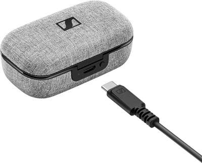 Беспроводные наушники Sennheiser Momentum True Wireless, черные