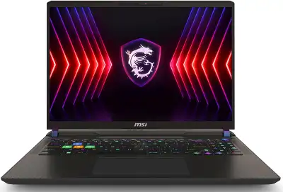 Ноутбук MSI Vector 16 HX A14VGG-283RU 16" WQXGA IPS i9 14900HX/16/1Tb SSD/RTX 4070 8G/W11