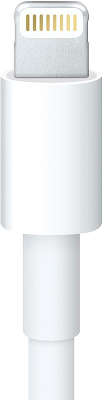 Кабель-адаптер Apple Lightning to 30-pin Adapter [MD824ZM/A]