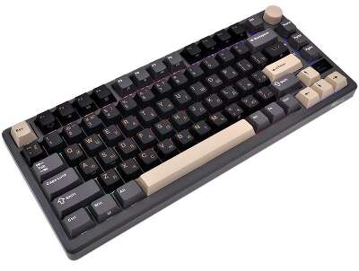 Клавиатура Royal Kludge RK-M75 Phantom (USB/2.4 GHz/Bluetоoth, RGB, Hot Swap, Brown switch)