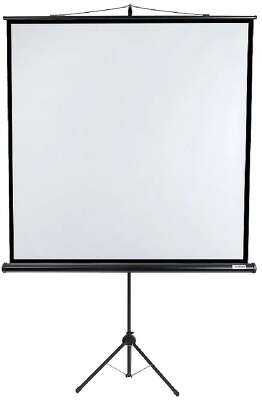 Lumien Eco View LEV-100107 Экран на штативе 180х180см (раб.область 174х174см) MW с возможностью настенного крепления 1:1