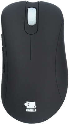 Мышь Zowie EC1 eVo, Black