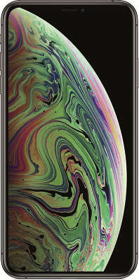 Смартфон Apple iPhone XS Max восстановленный [FT502RU/A] 64 GB Space Gray