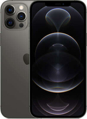Смартфон Apple iPhone 12 Pro Max [MGD73RU/A] 128 GB Graphite