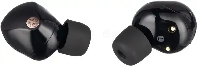 Гарнитура внутриканальные Sony WF-1000XM5 черный беспроводные bluetooth в ушной раковине (WF-1000XM5/BC)