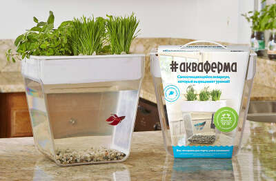 Набор для выращивания растений и ухода за рыбкой 
