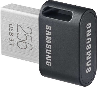 Модуль памяти USB3.1 Samsung FIT Plus 256 Гб [MUF-256ABAPC]