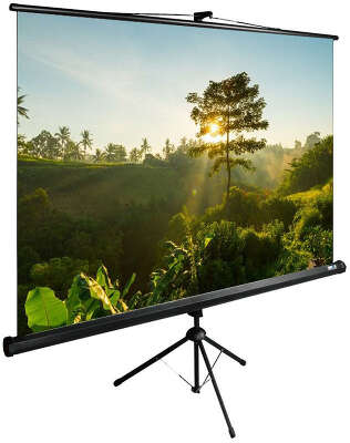 Экран Cactus 200x200см TriExpert CS-PSTE-200x200-BK 1:1 напольный рулонный черный