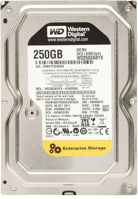 Жёсткий диск SATA-II 250GB [WD2503ABYX] WD Raid Edition 4, 7200rpm, 64MB Cache