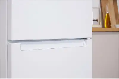 Холодильник Indesit ES 20 A 2-хкамерн. белый