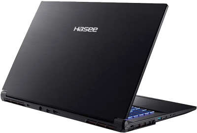 Ноутбук Hasee G8-DA7NP 17.3" QHD 165Hz i7-12700H/16/512 SSD/RTX3060 6G/WF/BT/Cam/DOS