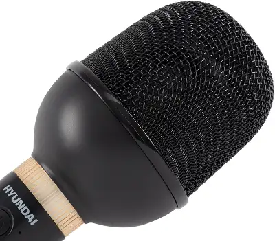 Микрофон беспроводной Hyundai H-MIC101 черный