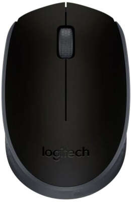 Мышь беспроводная Logitech Wireless Mouse M171 Black USB (910-004643)