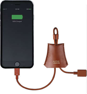 Кабель-брелок Native Union Lightning Tag Cable Leather Pouch Tan [TAG-L-TAN]