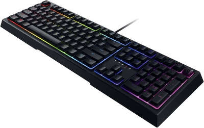 Клавиатура USB Razer Ornata V2