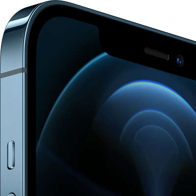 Смартфон Apple iPhone 12 Pro Max [MGDF3RU/A] 256 GB Pacific Blue