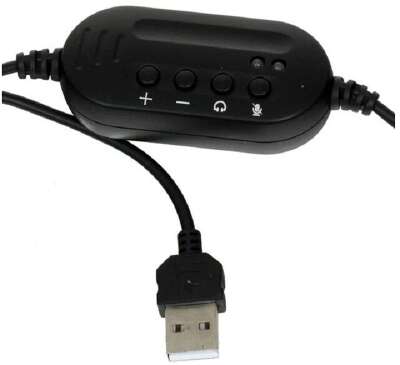 RITMIX RH-533USB, Black {Гарнитура. 40 мм, 20-20000 Гц, 32 Ом, 105 дБ, конденсаторный всенаправленный микрофон, 2,2 кОм, 58 дБ ± 3 дБ, пластик}