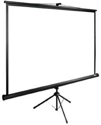 Экран Cactus TriExpert CS-PSTE-180x180-BK Экран 180x180 см 1:1 напольный рулонный