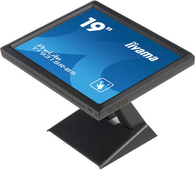 Монитор 19" Iiyama ProLite T1931SR-B5 TN 1280x1024 Touch D-Sub, DVI