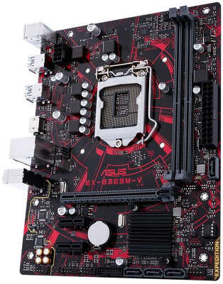 Материнская плата microATX LGA1151 ASUS EX-B365M-V