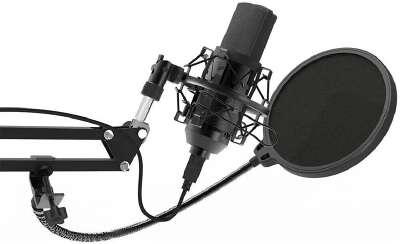 RITMIX RDM-169 Black {увствительность: - 42 ± 2 дБ?,  ?1000 ?}