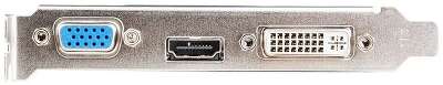 Видеокарта Ninja NVIDIA nVidia GeForce GT 710 NF71NP013F 1Gb DDR3 PCI-E VGA, DVI, HDMI