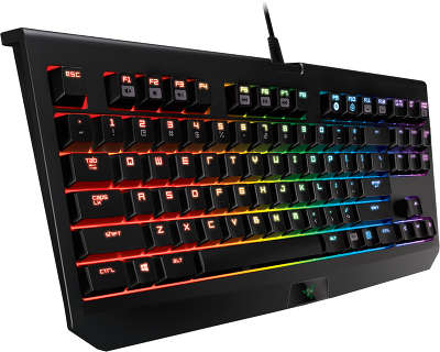 Клавиатура USB Razer BlackWidow Tournament Chroma