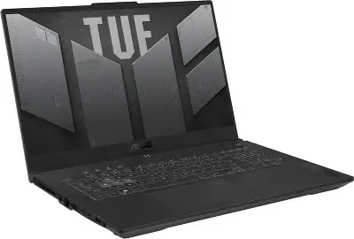 Ноутбук ASUS TUF Gaming F17 FX707ZC4-HX095 17.3" FHD IPS i5-12500H/16/512Gb SSD/RTX 3050 4G/Без OC серый