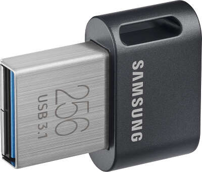 Модуль памяти USB3.1 Samsung FIT Plus 256 Гб [MUF-256ABAPC]