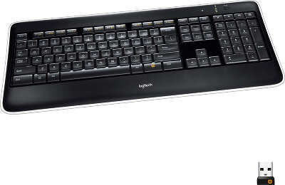 Клавиатура беспроводная Logitech K800 Illuminated (920-002395)