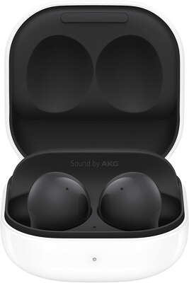 Беспроводные наушники Samsung Galaxy Buds 2 [SM-R177N], чёрные