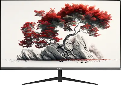 Монитор 27" RDW RDW2701K IPS FHD D-Sub, HDMI, DP (МПТ)
