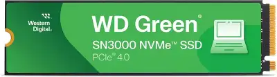 WD WDS100T4G0E