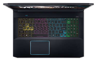 Ноутбук Acer Predator Helios 300 PH317-54-70TX 17.3" FHD i7-10750H/16/1Tb SSD/GF RTX 2070 8G/WF/BT/Cam/DOS