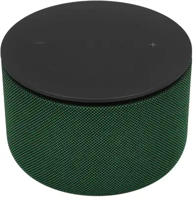 Умная колонка Yandex Станция Мини 3 Про Алиса зеленый 18W 1.0 BT/Wi-Fi (YNDX-00059GRN)