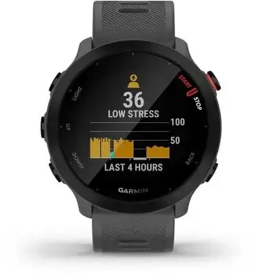 Смарт-часы Garmin Forerunner 55 42мм 1.04" LCD корп.серый рем.серый разм.брасл.:127-220мм (010-02562-13)